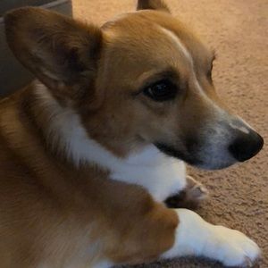 Meet your Posher, Lindsay